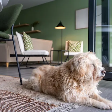 Feel Discovery Casa Dalice Apartment Peso da Regua