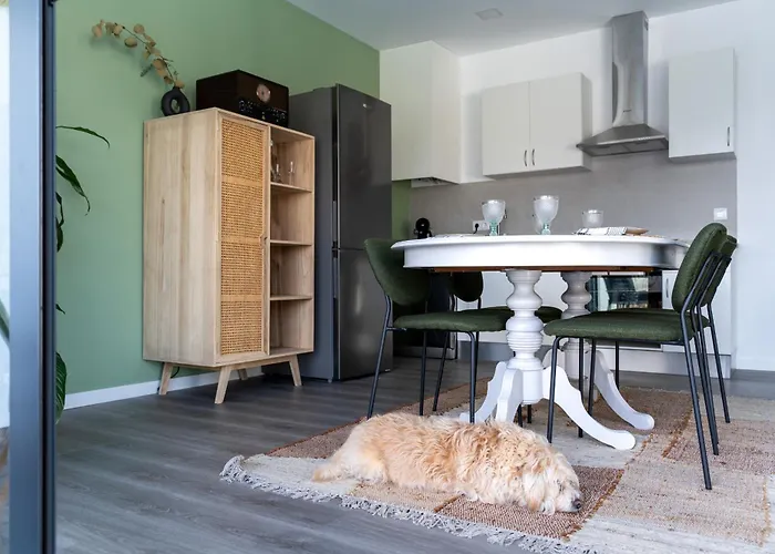 Feel Discovery Casa Dalice * Peso da Régua